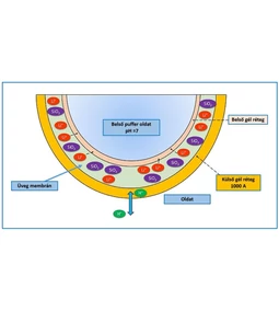 pH üveg membrán – a pH elektródák kulcsfontosságú része